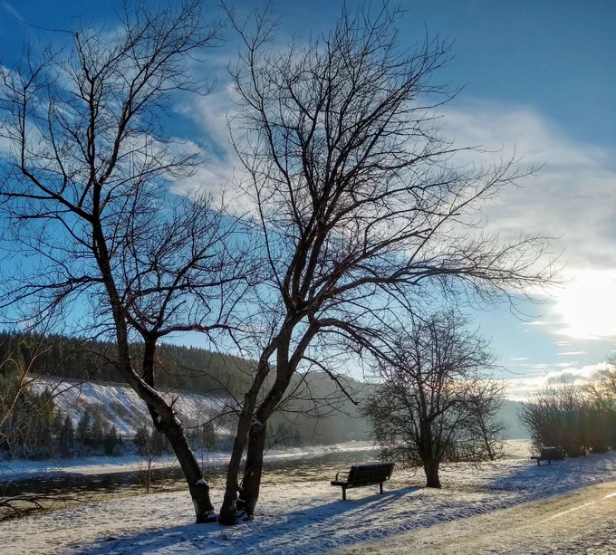Empty bench overlooking river, with bare trees and a dusting of snow on the ground. 
Photo by Michelle Elliot