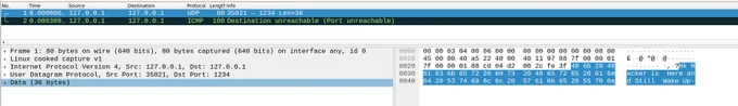 Wireshark: UDP and ICMP Packets