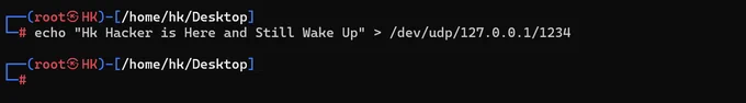 UDP Request
