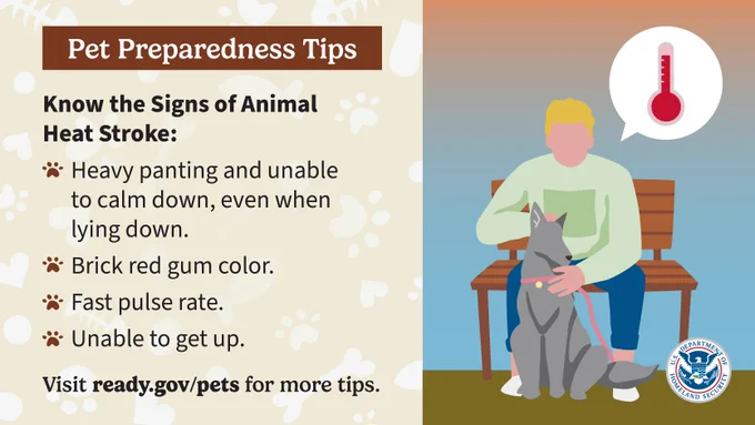 Pet Preparedness Tips graphic from DHS.