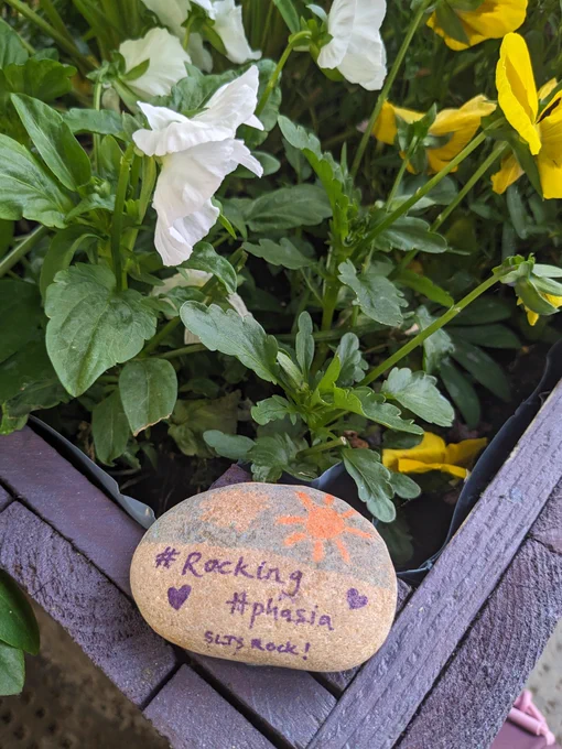 A rock on a planter that has a sun drawn on it  and reads #rockingaphasia and SLTs rock!