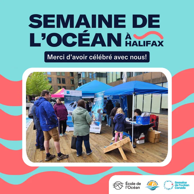 Graphique promotionnel pour la « Semaine de l'Océan à Halifax » présentant un événement en plein air avec des stands d'information, des visiteurs s'engageant dans les expositions, et un texte remerciant les participants pour la célébration, le tout sur une place publique animée.
