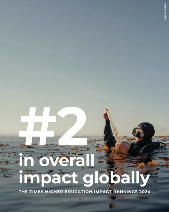 A person in a wetsuit and diving equipment, floating on the top of the ocean and examining seaweed. There is text over the top of the image which reads: #2 in overall impact globally, The Times Higher Education Impact Rankings 2024
