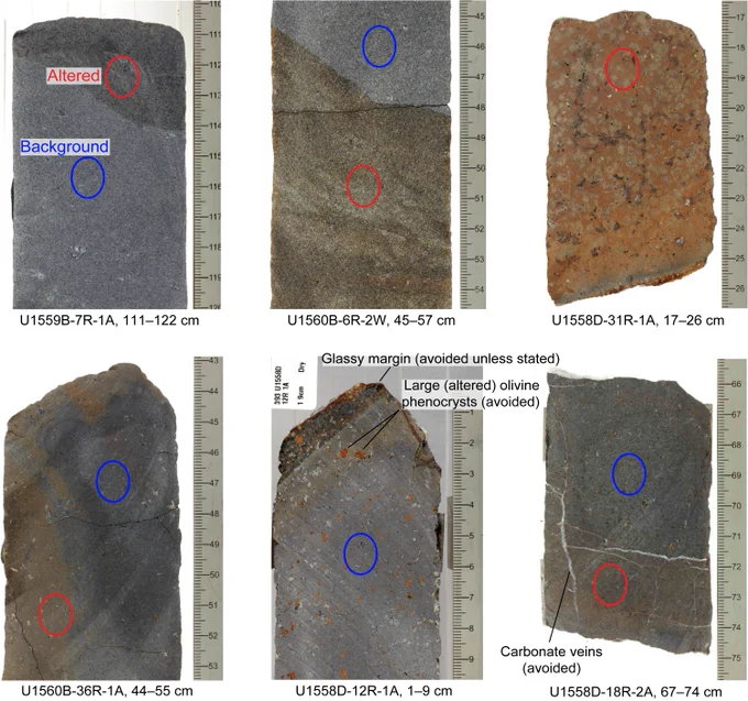 Representative examples of sawed SAT core surfaces and areas that would be designated as background or altered for pXRF analysis, Expedition 390. 