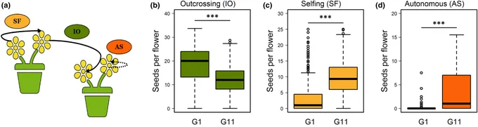 Evolution of the Brassica rapa mating system induced by hoverfly pollination. 