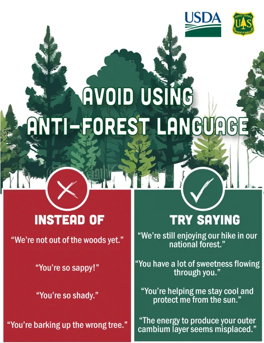 Graphic with trees explaining Instead of "We're not out of the woods yet" say "We're still enjoying our hike in our national forest." Don't say, "You're so sappy" say "You have a lot of sweetness flowing through you" don't day "You're so shady" say "You're helping me stay cool and protect me from the sun" don't say" You're barking up the wrong tree" say "The energy to produce your outer cambium layer seems misplaced. 