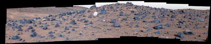 This color image taken by Mastcam-Z on NASA's Perseverance Mars Rover shows a very noticeable light-toned boulder with dark speckles in a field of darker ones. Some on the science team speculate that the boulder's minerals were produced in a nearby subsurface magma sea that then bubbled to the surface where they cooled and solidified. Others consider the possibility that it could have been created far beyond the walls of Jezero and transported there by the swift Martian waters that flowed through this channel eons ago. Either way, the team believes this boulder is the first of its kind they’ve seen and won’t be the last as the rover travels further along the crater rim. 