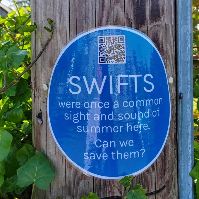 Blue Plaque for Nature on a telegraph pole in Northumberland Village, which reads Swifts were once a common sight and sound of summer here. Can we save them?