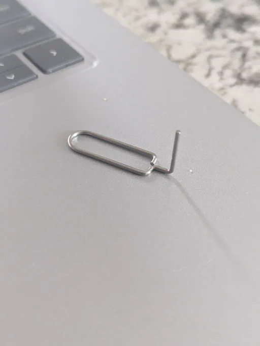 Clippy's Weird Cousin 
(a tool that looks like a mutant Paper Clip)