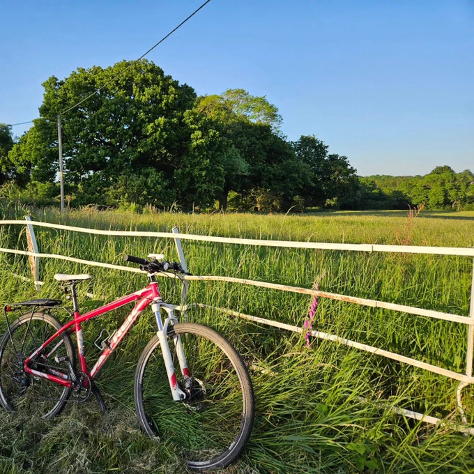 Bike leaning against white metal fence. Meadow with long grass and line of mature trees in background. 