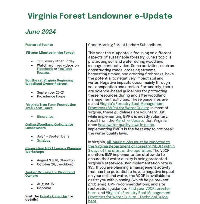 Image of a newsletter
