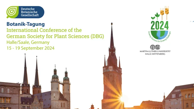 International @BT2024DBG Conference oft he German Society for Plant Sciences (DBG) in Halle, Germany, 15 - 19 Sept 2024. 
The image in the background shows some buildings of the city of Halle (Saale), Germany, in front of a sunset. 