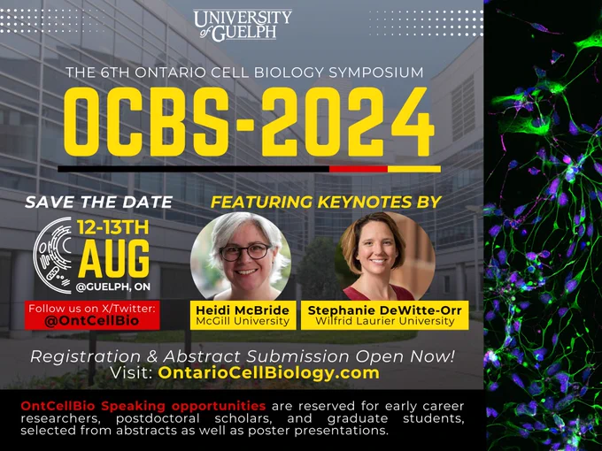 This is a poster for the 2024 Ontario Cell Biology Symposium. The event will be held at the University of Guelph August 12-13, and registration is now open at www.ontariocellbiology.com. The keynote speakers will be Dr. Heidi McBride (McGill University) and Dr. Stephanie DeWitte-Orr (Wilfrid Laurier University). Of note, speaking opportunities are resevred for early career researchers, postdoctoral scholars. and graduate students selected from abstracts. More information on X/Twitter @OntCellBio