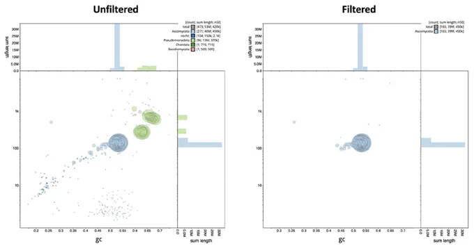 A screenshot of the Blob Plot (Figure 8) from the article that can be found at https://imafungus.biomedcentral.com/articles/10.1186/s43008-024-00142-z. 