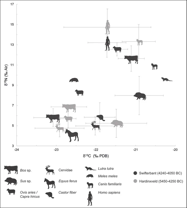 Stable isotope graph showing the stable carbon and nitrogen isotope values of the animals from Swifterbant. Credit: Brusgaard et al 2024