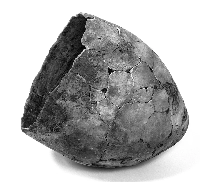 BW photo of a ceramic pot from the site Hardinxveld in the Netherlands. Credit: Raemaekers 2001