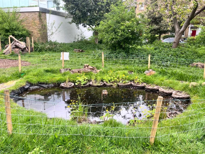 image of London fields greenery