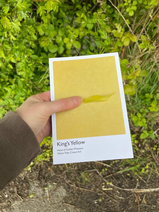 Participants were matching the colours of the cards to the colours of leaves and apple blossom. Both photos taken by Rachel at St Nicks.