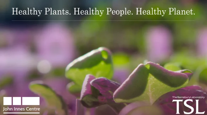 A photo of leaves under a purple light with white text overlayed, reading : Healthy Plants. Healthy People. Healthy Planet and the John Innes Centre and The Sainsbury Laboratory (TSL) logos.