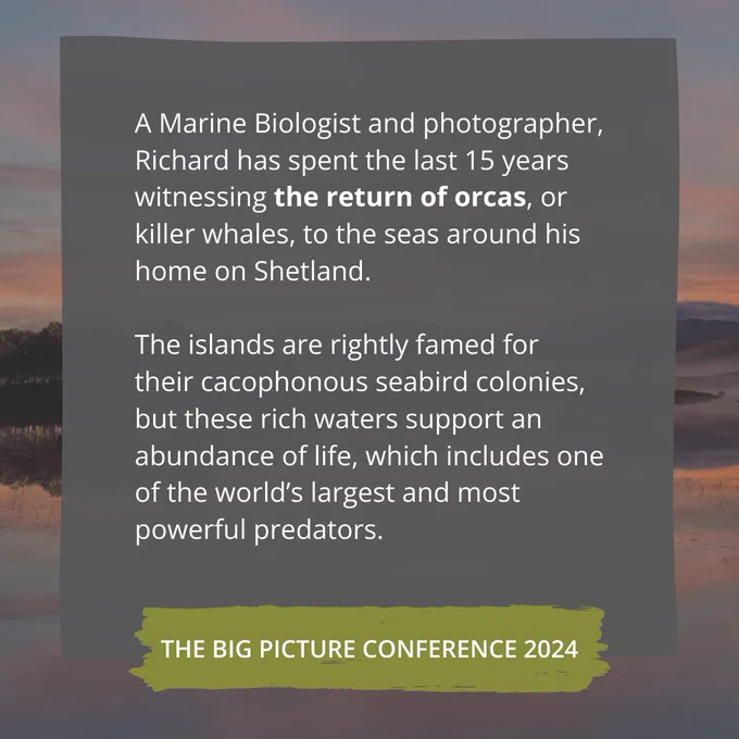 Graphic with overlaid text: "A Marine Biologist and photographer, Richard has spent the last 15 years witnessing the return of orcas, or killer whales, to the seas around his home on Shetland. 

The islands are rightly famed for their cacophonous seabird colonies, but these rich waters support an abundance of life, which includes one of the world’s largest and most powerful predators."