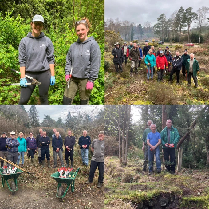 This image shows a group of Forestry England staff carrying out conservation tasks in the forest. 