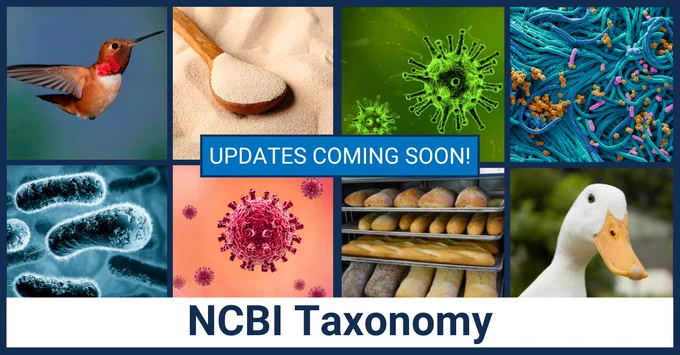 Eight images in squares, including bird, bread, prokaryotic organisms, and viruses. Text says: Updates coming soon! NCBI Taxonomy.