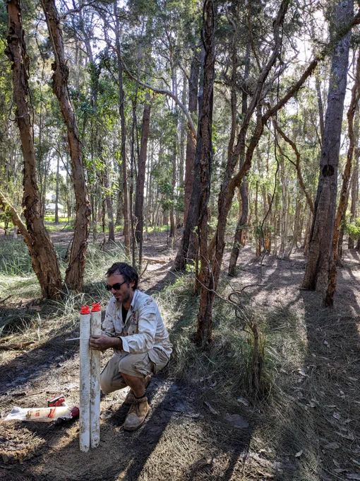 A man kneels next to a white survey marker surrounded by red and white equipment in a wooded area, engaged in environmental or land surveying activities.
