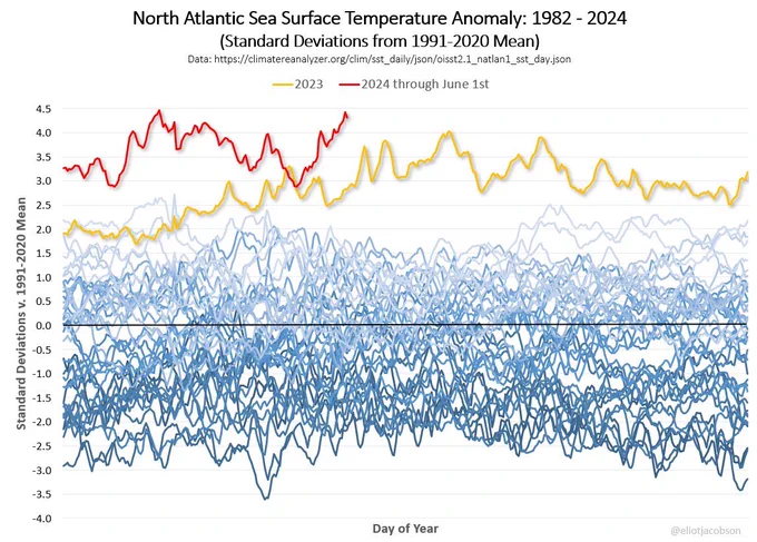 A line chart showing North Atlantic sea surface temperature anomalies since 1982. The year 2024, shown as a red line, rises well above all the other years.
