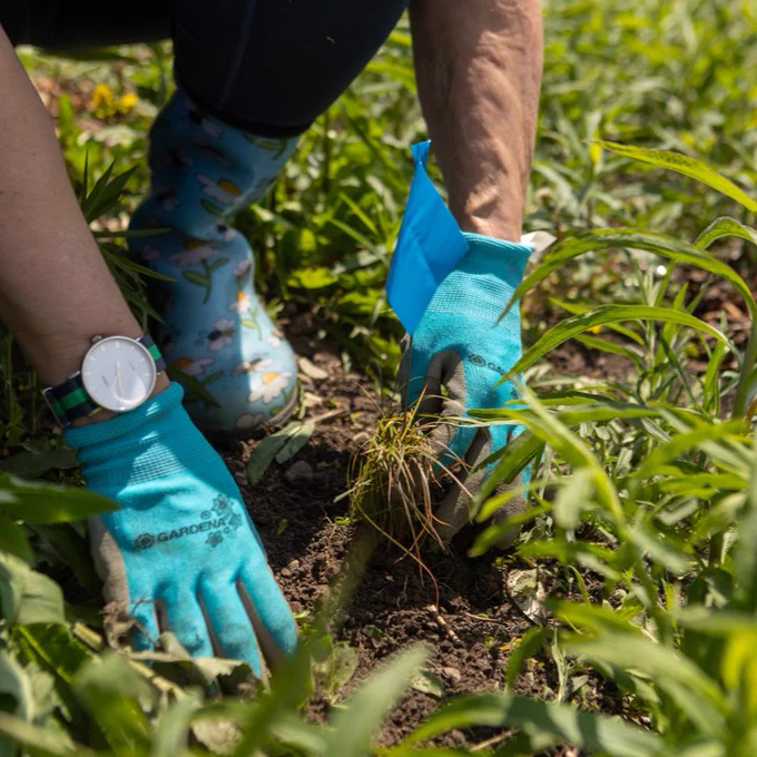 A person wearing Gardena gloves is planting in a lush garden, with a focus on detail and the surrounding greenery, showcasing a moment of gardening activity.
