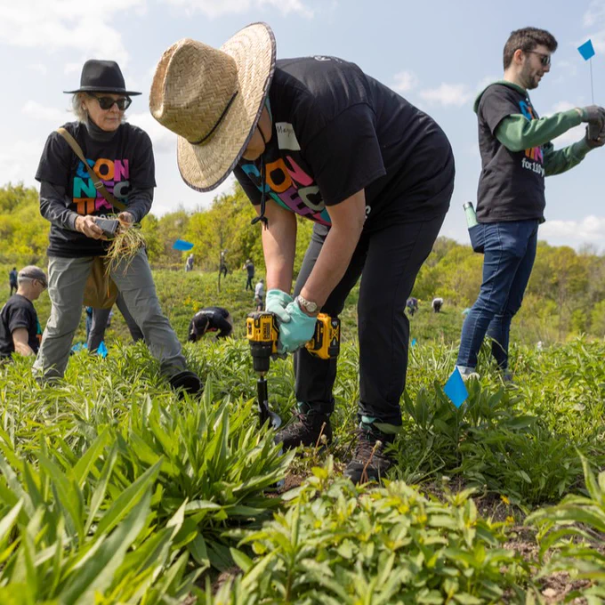 Three volunteers planting trees in a grassy field. The person in the center wears a straw hat and uses a drill for planting, while the others carry young plants and tools. All are wearing dark T-shirts with colorful "VOLUNTEER" text.