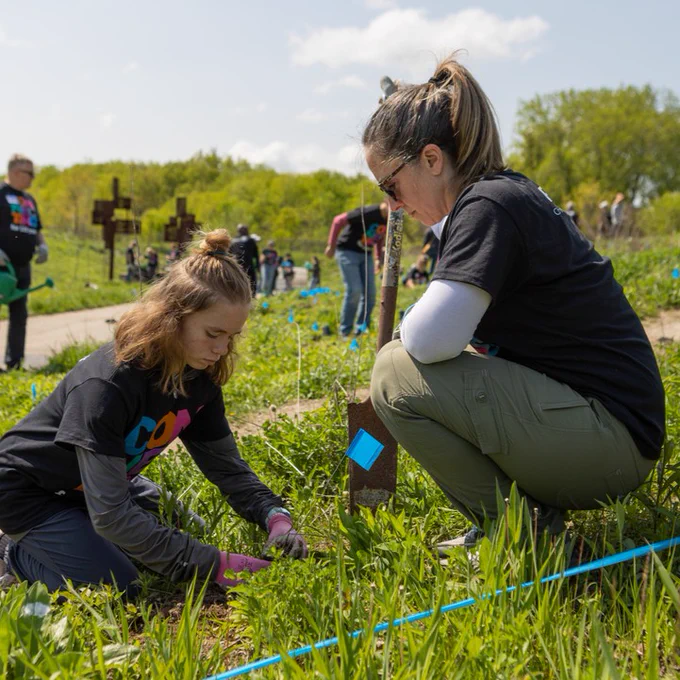 Two individuals are planting greenery in a grassy field on a sunny day, with small markers and crosses visible in the background.