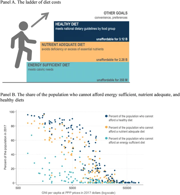 Figure from article on use of least-cost diets to measure food access, in Global Food Security (2024)
