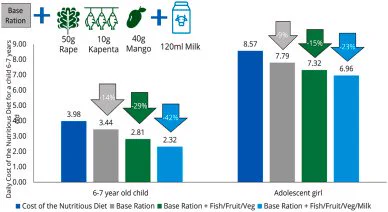 Figure from article on use of least-cost diets to measure food access, in Global Food Security (2024)