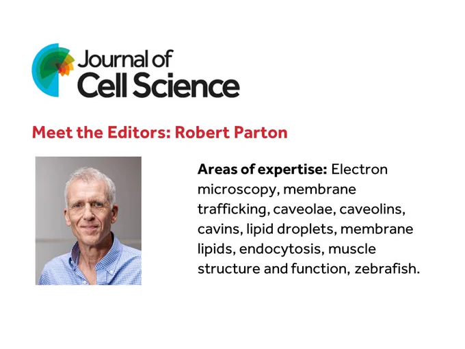 Image of Robert Parton listing his areas of expertise: Electron microscopy, membrane trafficking, caveolae, caveolins, cavins, lipid droplets, membrane lipids, endocytosis, muscle structure and function, zebrafish.