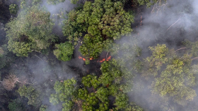 Aerial view of an Amazonian forest on fire in Brazil in November 2023