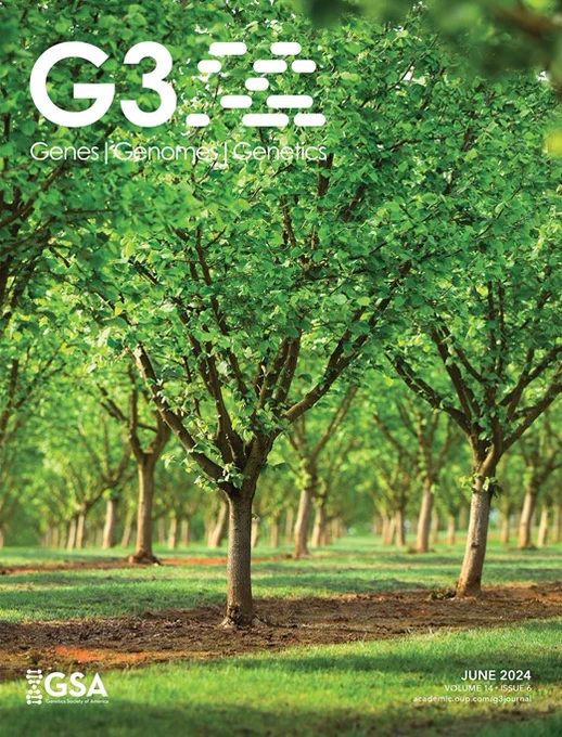 Disease-resistant hazelnut orchard in Oregon’s Willamette Valley. Lynn Howlett Photography