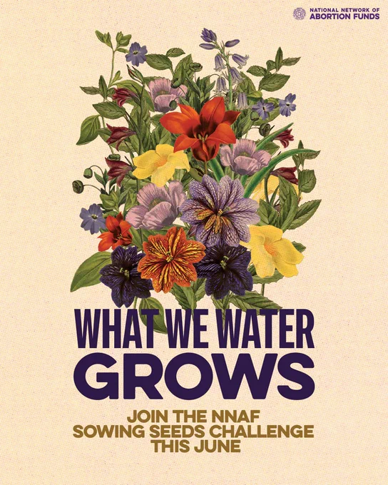 Cream graphic with bushel of colorful flowers in center. Overlayed text reads " What we water GROWS. Join the NNAF sowing seeds challenge this june' 