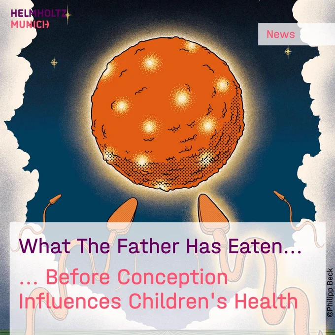 Father's Diet Before Conception Influences Children's Health