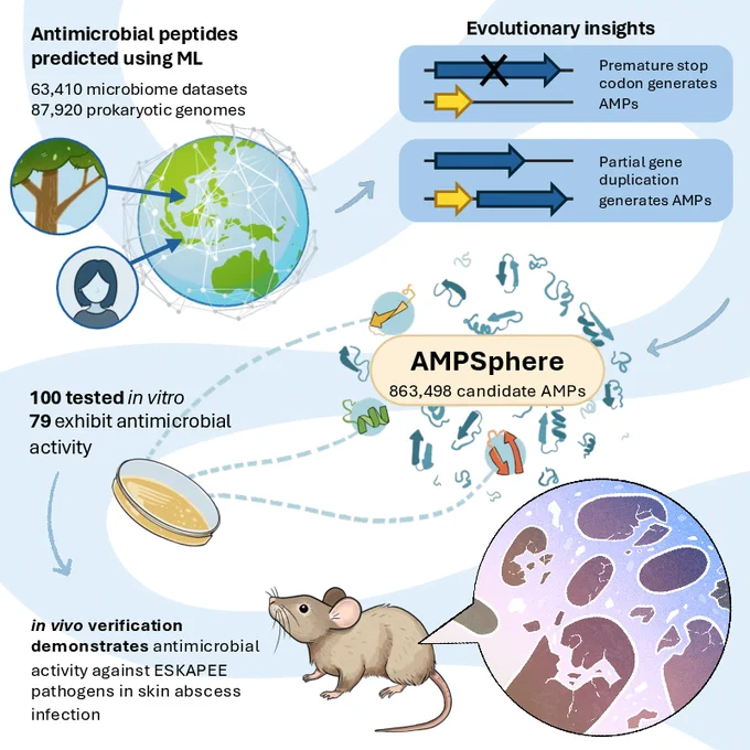 Graphical abstract of Santos-Júnior, Torres, et al.