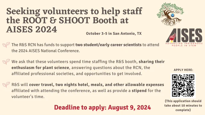 Gray text on a yellow background. On the upper right side sits the ROOT & SHOOT tree logo and AISES logo. The text reads: seeking volunteers to help staff the root and shoot booth at aises 2024. October 3-5 in San Antonio, TX. The R&S RCN has funds to support two student/early career scientists to attend the 2024 aises national conference. We ask that these volunteers spend time staffing the R&S booth, sharing their enthusiasm for plant science, answering questions about the RCN, the affiliated professional societies, and opportunities to get involved. R&S will cover travel, two nights hotel, meals, and other allowable expenses affiliated with attending the conference, as well as provide a stipend for the volunteer's time. Deadline to apply: August 9, 2024.