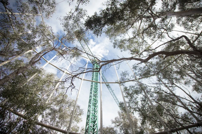 Western Sydney University’s Eucalyptus Free Air CO2 Enrichment (EucFACE) experiment, Australia's largest climate change research project. The trees at EucFACE reach to 25 metres in height, with extra CO2 added through a computer-controlled system in the out-of-doors.

Over six years, researchers exposed a 100-year-old eucalypt woodland on Western Sydney’s Cumberland Plain to elevated carbon dioxide levels. The team undertook in-depth sampling of phosphorus in all parts of the ecosystem to trace its journey from the soil to the trees. IMAGE CREDIT: SALLY TSOUTAS