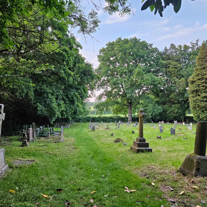 View of old cemetery with mix of headstones. Mature trees around and hedge boundary over which you can see meadow beyond. 