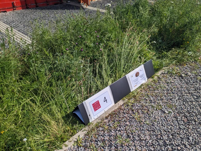 Hedgehog footprint tunnel placed at Railway Gardens 