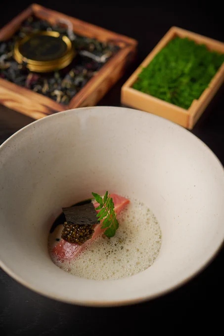 Jöro restaurants fine dining dishes meticulously presented