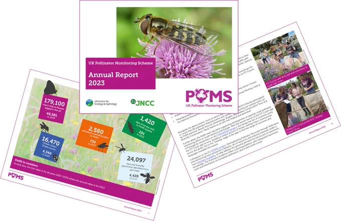 Images of three of the annual report pages overlain