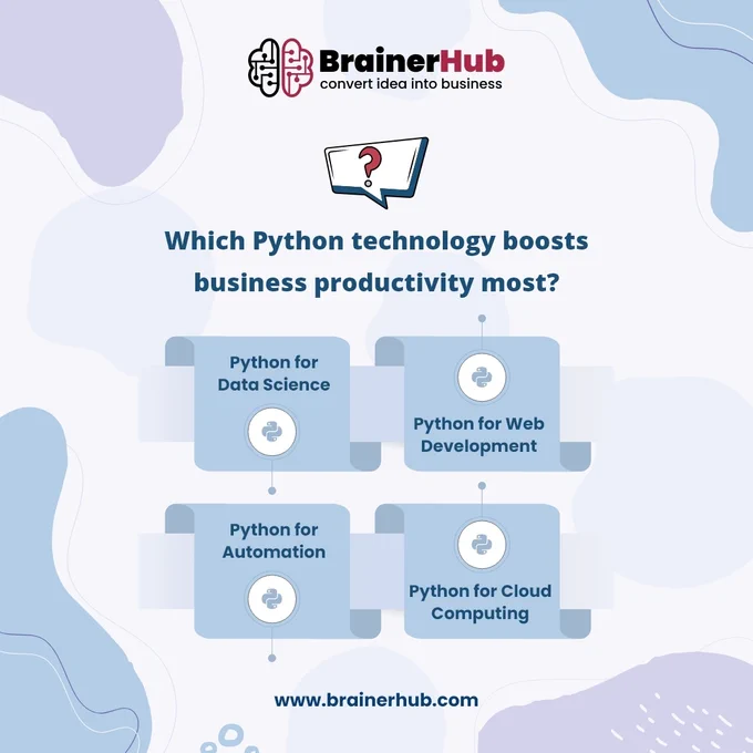 Python Development Company - BrainerHub Solutions