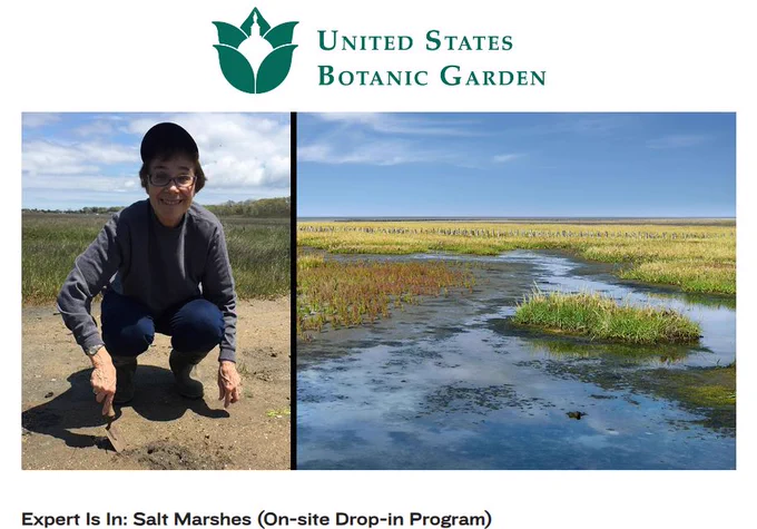 Photo collage of STPF alumna Judith Weis and a photo of salt marshes. Subtitle "Espert Is In: Salt Marshes (On-site Drop-in-Program)."