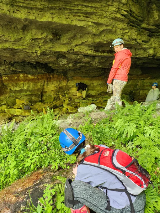 Photo of KGS Potter interns inside a cave. Dark blue helmet with her back to the photo is Emelia Harris, standing with the orange/pink jacket is Adia, Sierra Ison and Abbie G. are in the background.