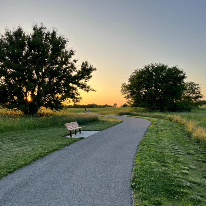 Image of a trail with a yellow sunset in the background. Tress, grass and a bench at in the foreground. 