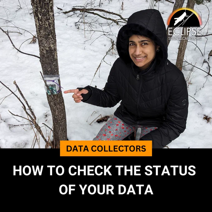 A young woman kneels in the snow next to an AudioMoth recorder affixed to a tree. Text reads: How to check the status of your data.